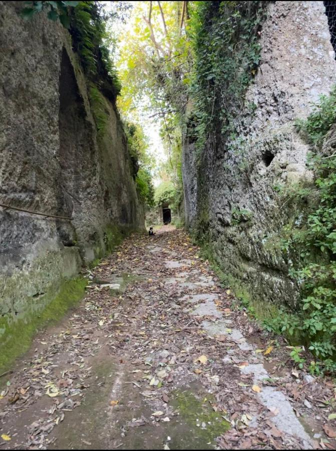 Affittacamere Licenza N.1 Presso La Magica Torre Pitigliano Bagian luar foto